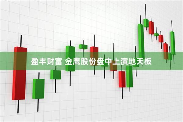 盈丰财富 金鹰股份盘中上演地天板