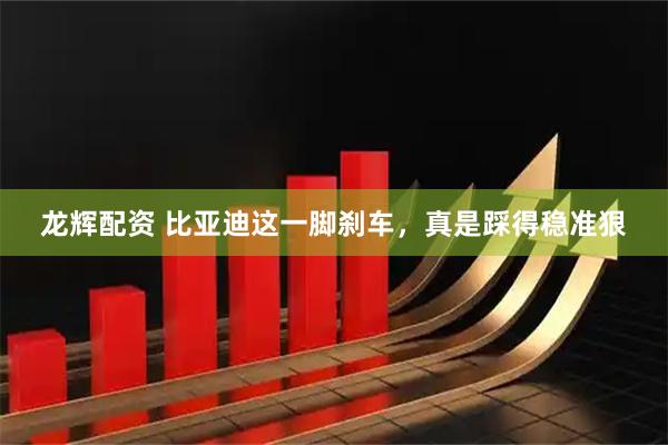 龙辉配资 比亚迪这一脚刹车，真是踩得稳准狠