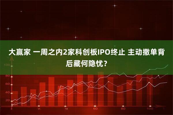 大赢家 一周之内2家科创板IPO终止 主动撤单背后藏何隐忧？